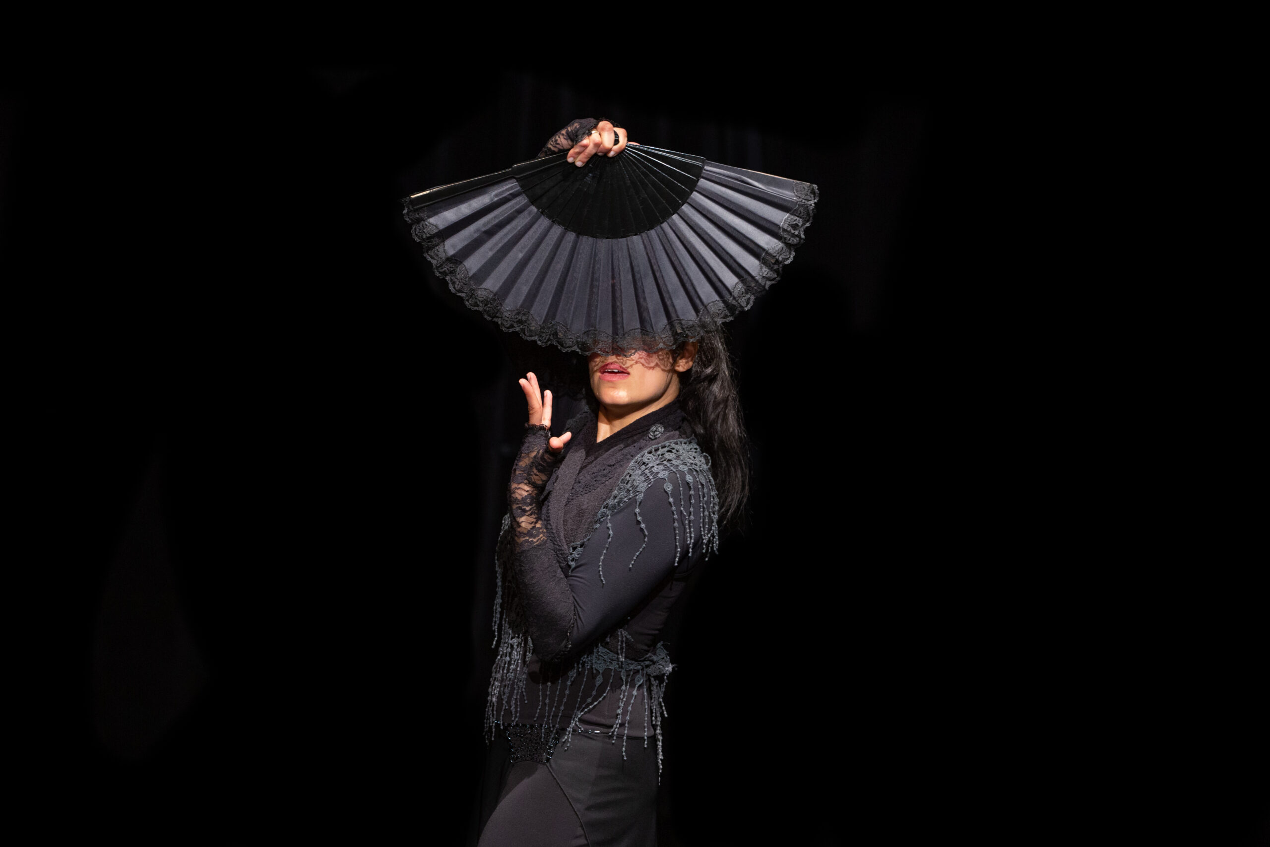 Die Flamencobande - Emotion