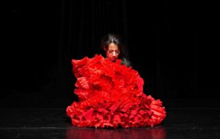 Die Flamencobande - Samira in der Bata